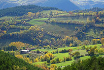 Mosaico agroforestal cerca de Prullans.