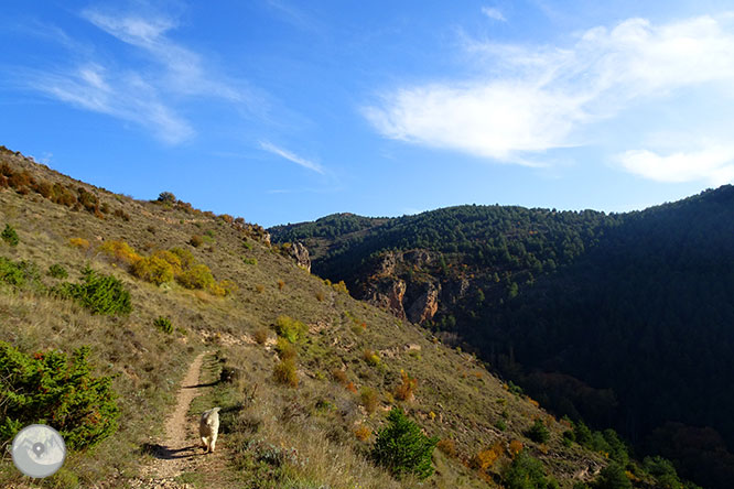 La cueva de Anes desde Prullans 1 