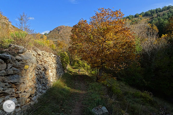 La cueva de Anes desde Prullans 1 