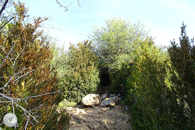 La cueva de Anes desde Prullans 1 