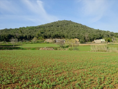 El volcán del Puig d