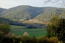 El encinar en el valle de Llémena.