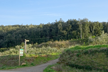 Camino al Puig d´Adri.