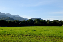 Campos de cereales y las montañas de Rocacorba.