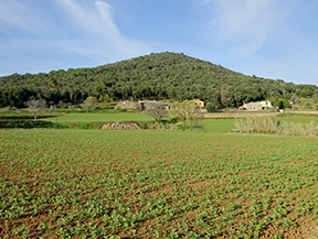 El volcán del Puig d´Adri