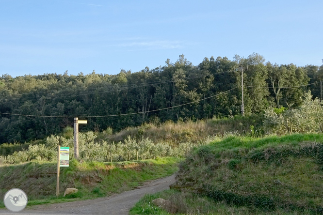 El volcán del Puig d