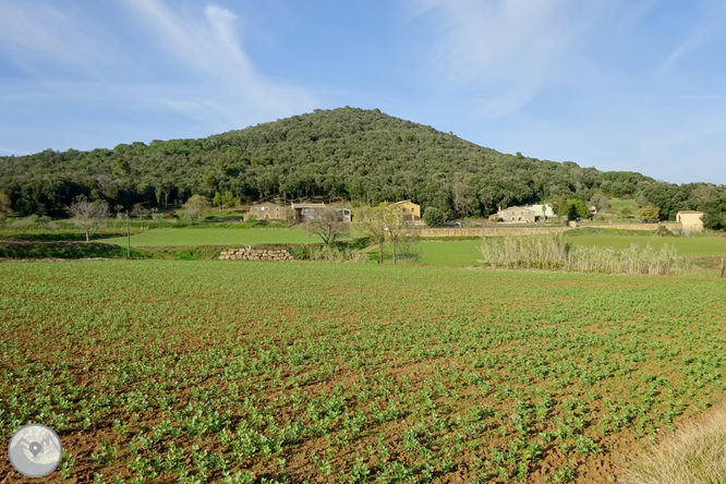 El volcán del Puig d