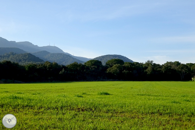 El volcán del Puig d