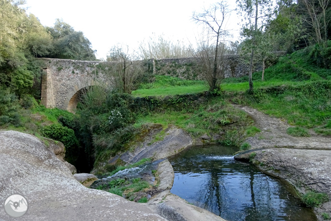 El volcán del Puig d