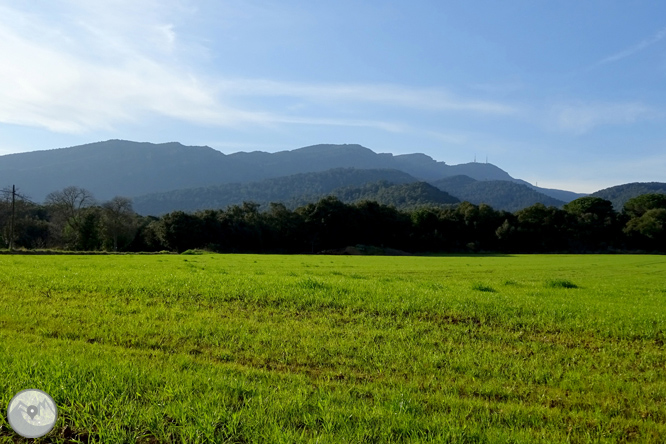 El volcán del Puig d