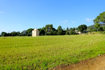 Cerca de la bodega Mas Gil.