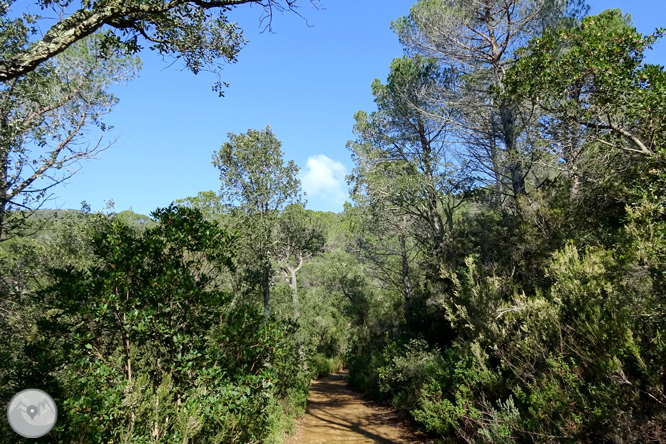 Puig Cargol y la llanura de Calonge 1 