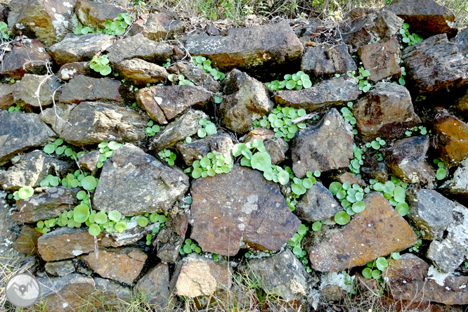 Puig Cargol y la llanura de Calonge 1 