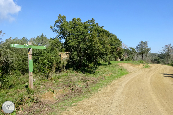 Puig Cargol y la llanura de Calonge 1 