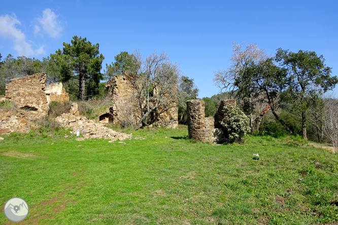 Puig Cargol y la llanura de Calonge 1 