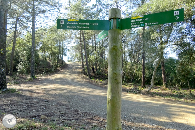 Puig Cargol y la llanura de Calonge 1 