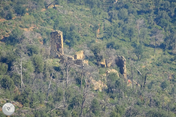 Puig Cargol y la llanura de Calonge 1 