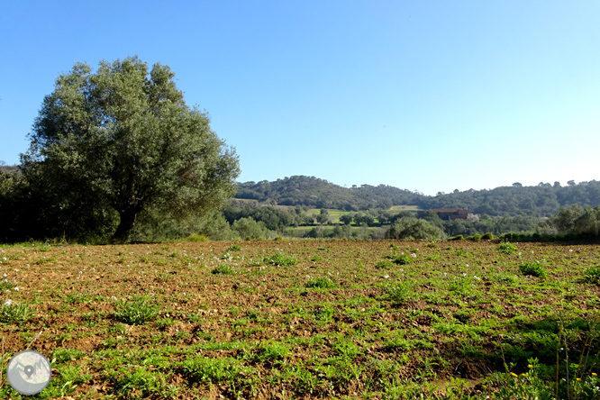 Puig Cargol y la llanura de Calonge 1 