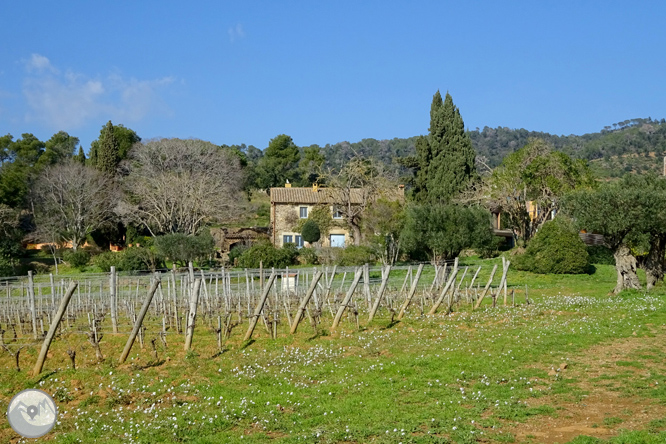 Puig Cargol y la llanura de Calonge 1 