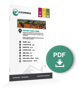 pdf-ruta