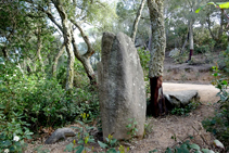 Menhir d´en Llac.