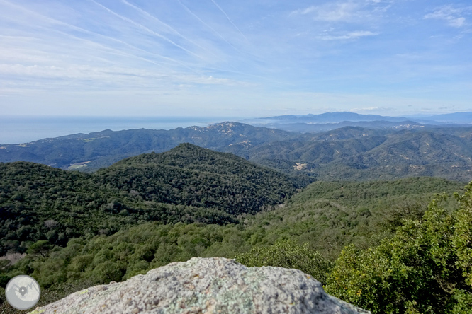 Puig de Cadiretes (519m) en la Ardenya 1 