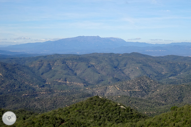 Puig de Cadiretes (519m) en la Ardenya 1 