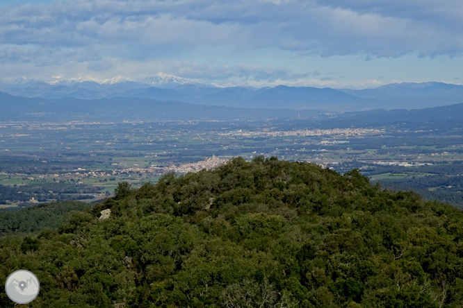 Puig de Cadiretes (519m) en la Ardenya 1 