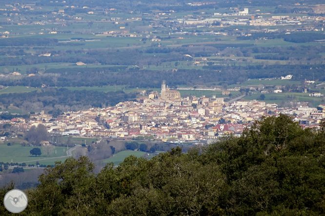 Puig de Cadiretes (519m) en la Ardenya 1 