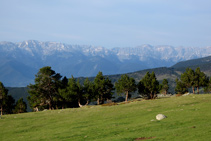 Vistas de la imponente cara norte de la sierra del Cadí.