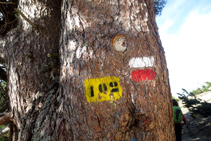 Encontramos marcas de pintura amarilla (sendero 102), y rojas y blancas (GR 11).