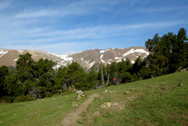 El sendero por donde avanzamos es claro y bien definido.