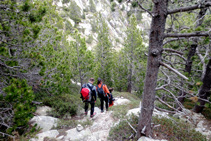 Seguimos el sendero y los hitos que vamos encontrando.