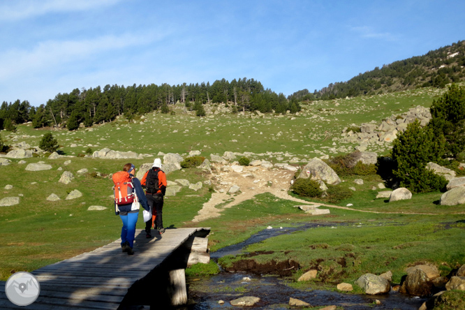 Puigpedrós (2.915m) por Engorgs desde el refugio de Malniu 1 