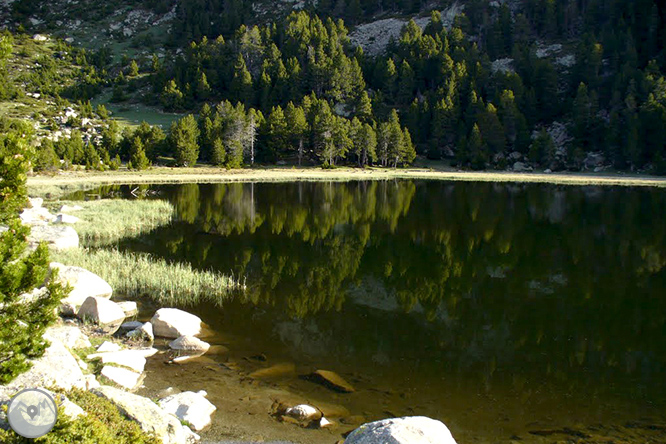 Puigpedrós (2.915m) por Engorgs desde el refugio de Malniu 1 