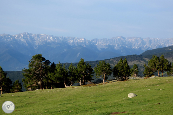 Puigpedrós (2.915m) por Engorgs desde el refugio de Malniu 1 