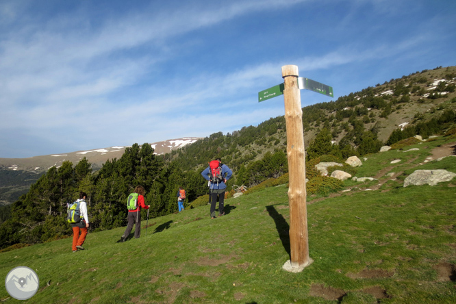 Puigpedrós (2.915m) por Engorgs desde el refugio de Malniu 1 