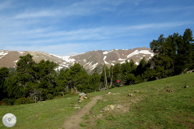 Puigpedrós (2.915m) por Engorgs desde el refugio de Malniu 1 