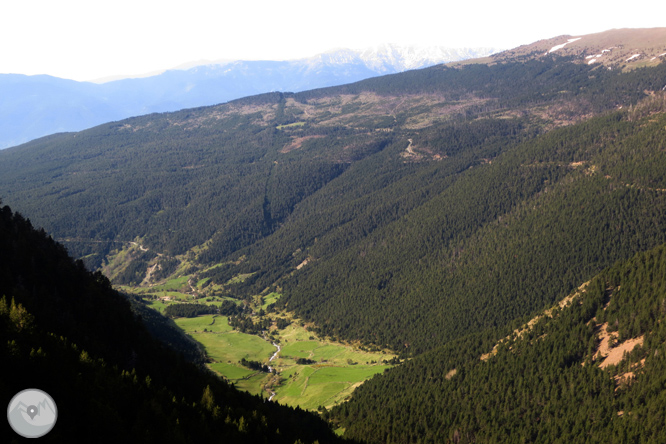 Puigpedrós (2.915m) por Engorgs desde el refugio de Malniu 1 