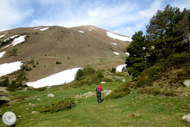 Puigpedrós (2.915m) por Engorgs desde el refugio de Malniu 1 