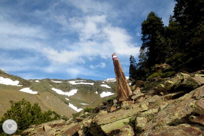 Puigpedrós (2.915m) por Engorgs desde el refugio de Malniu 1 