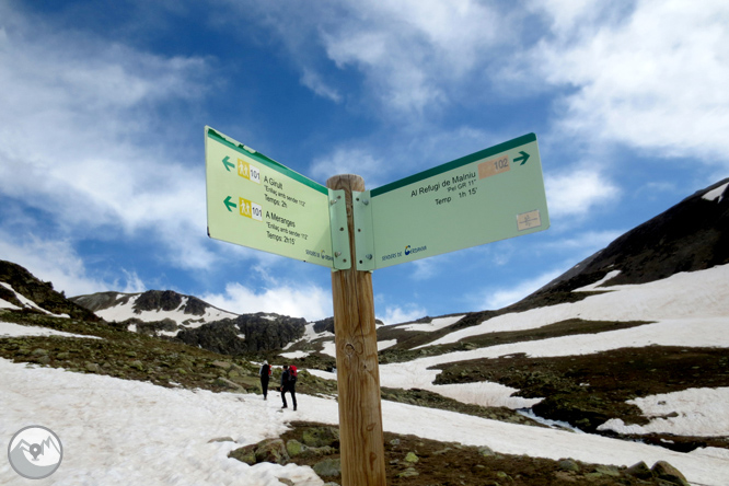 Puigpedrós (2.915m) por Engorgs desde el refugio de Malniu 1 