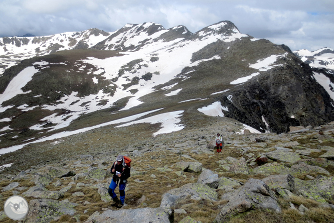 Puigpedrós (2.915m) por Engorgs desde el refugio de Malniu 1 