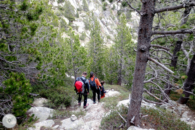 Puigpedrós (2.915m) por Engorgs desde el refugio de Malniu 1 