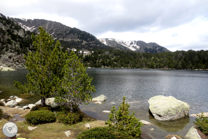 Puigpedrós (2.915m) por Engorgs desde el refugio de Malniu 1 