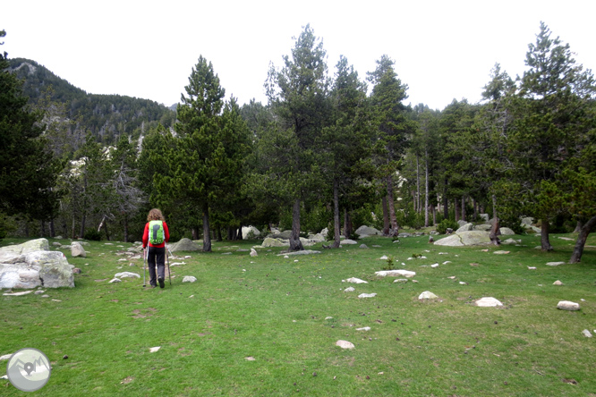 Puigpedrós (2.915m) por Engorgs desde el refugio de Malniu 1 