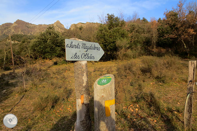 Puigsacalm (1.515m) y Puig dels Llops (1.486m) desde Joanetes 1 