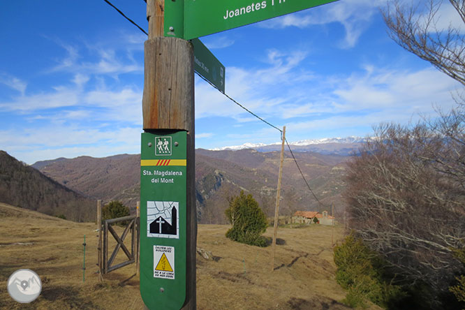 Puigsacalm (1.515m) y Puig dels Llops (1.486m) desde Joanetes 1 