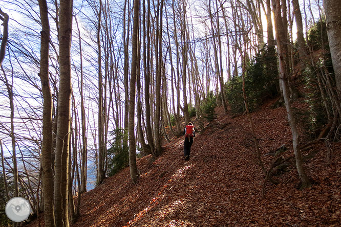 Puigsacalm (1.515m) y Puig dels Llops (1.486m) desde Joanetes 1 