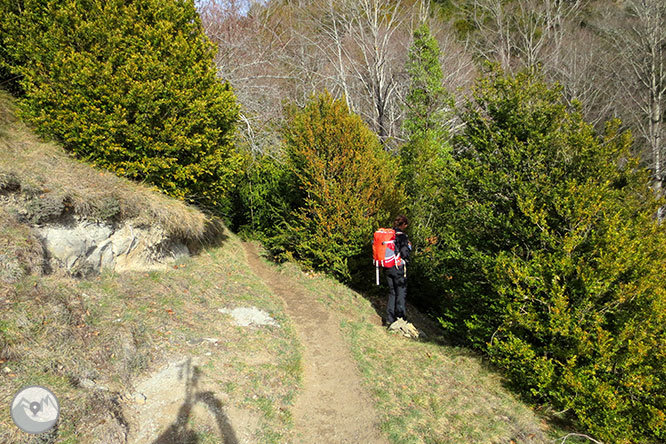 Puigsacalm (1.515m) y Puig dels Llops (1.486m) desde Joanetes 1 